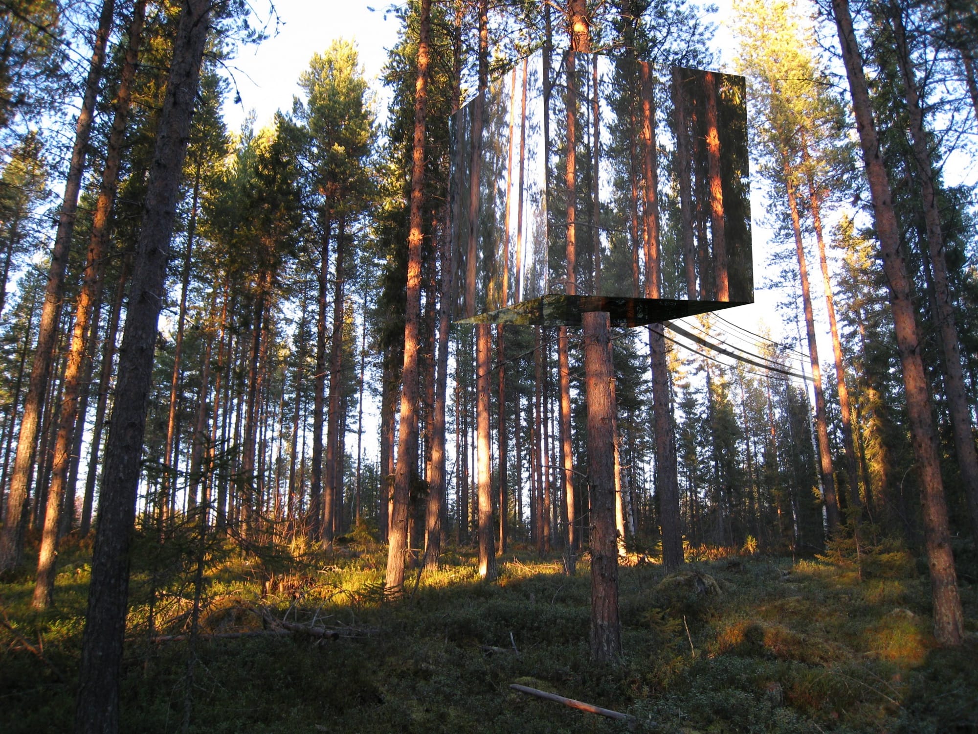Arboreal Retreat: The Invisible Swedish Treehouse Hidden in the Forest