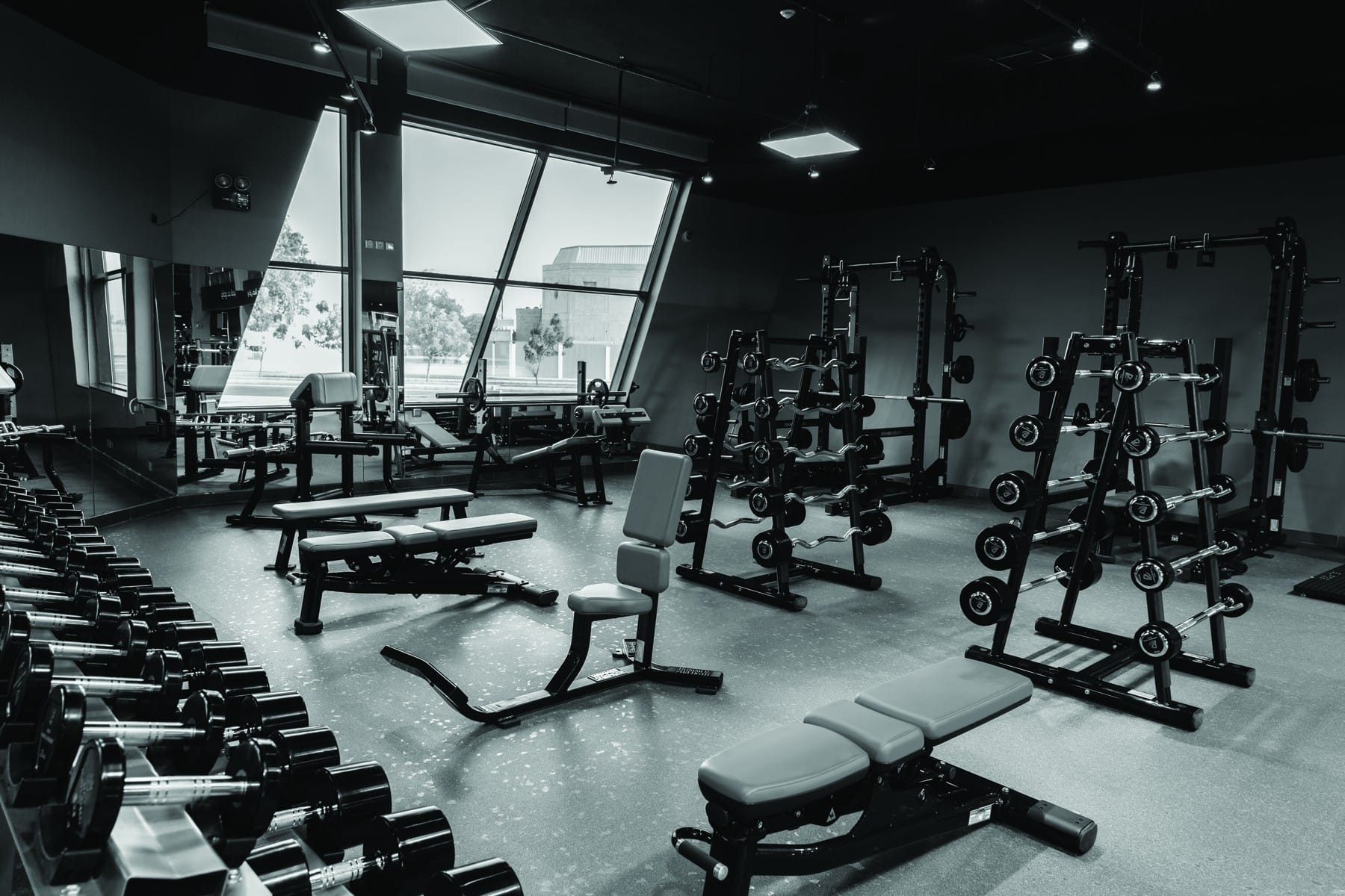 Did You Know that the Global Market Leader in Fitness Equipment Came from a Sleepy Italian Town on t