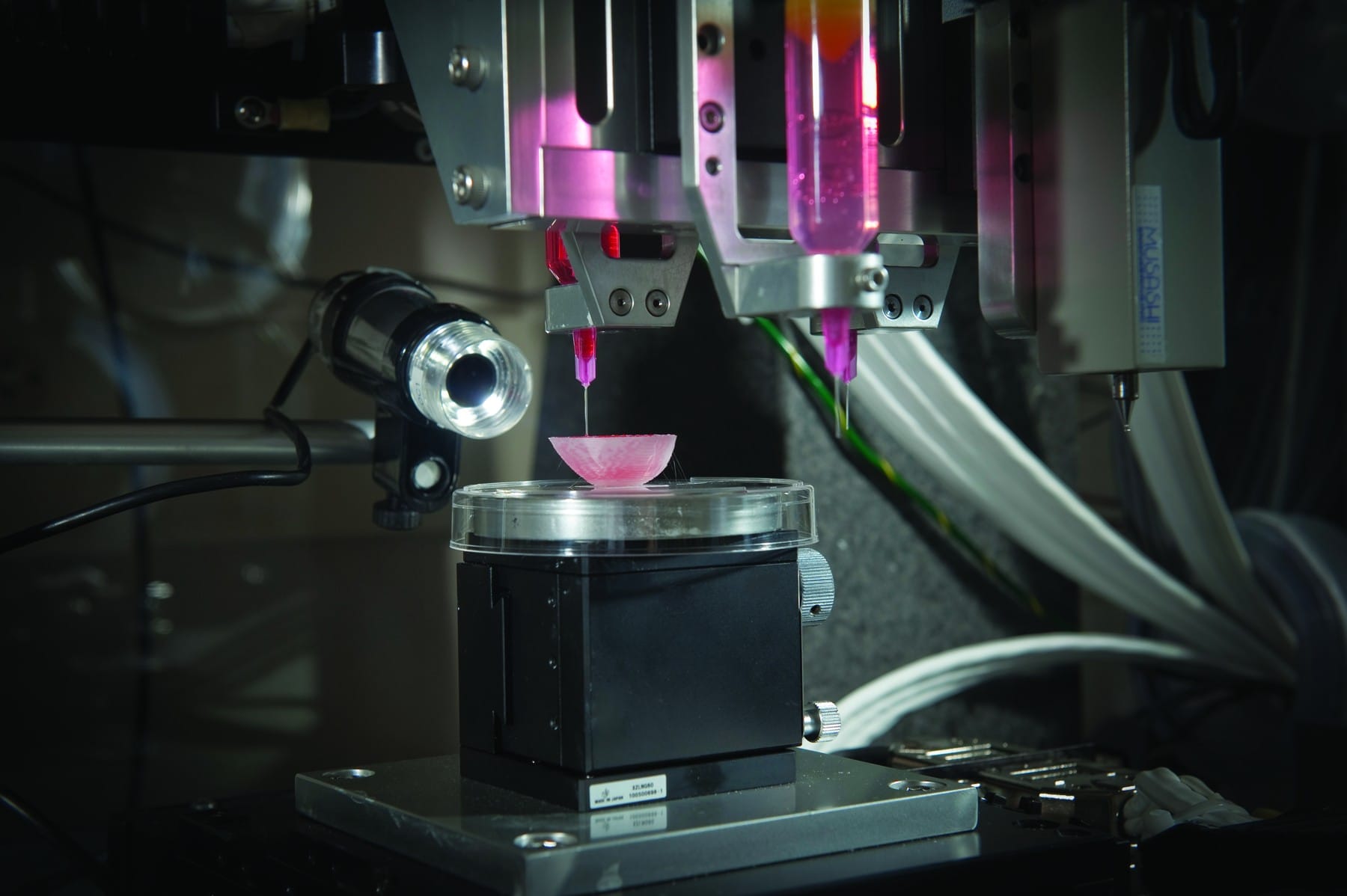 A Surgeon Of Lebanese Descent, Dr. Anthony Atala, is Pioneering a Way to 3D-Print Human Organs