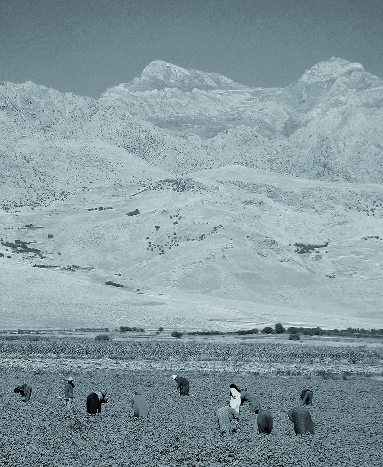 ‘The Journey’ is the Heart-Wrenching Iraqi Film that Didn’t Make it To the Oscars