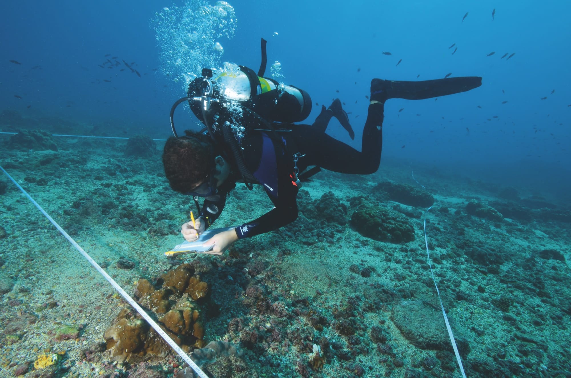 Coral Crusaders: Prince Khaled bin Sultan's Living Oceans Foundation and the Reefs