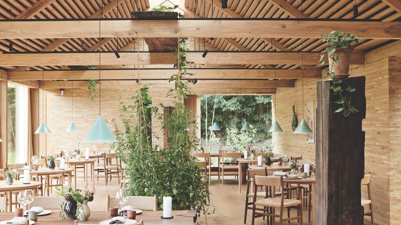 Culinary Magic: How René Redzepi's Noma Redrew the Map of Fine Dining