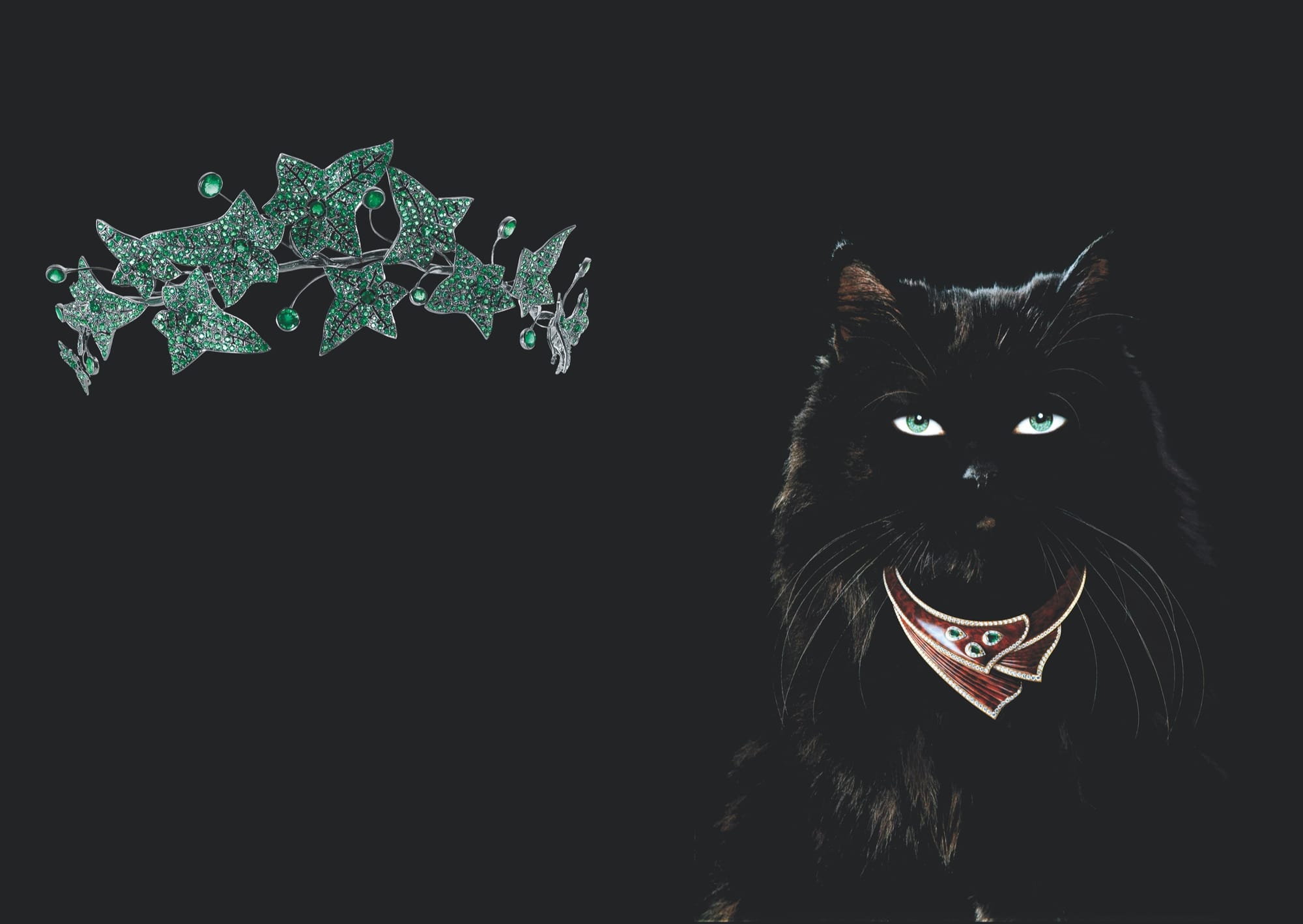 The Cat’s Whiskers*