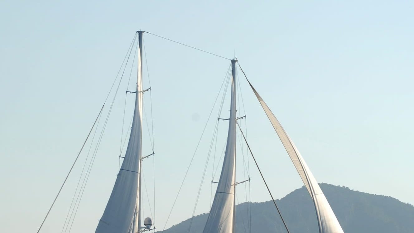 Sail away