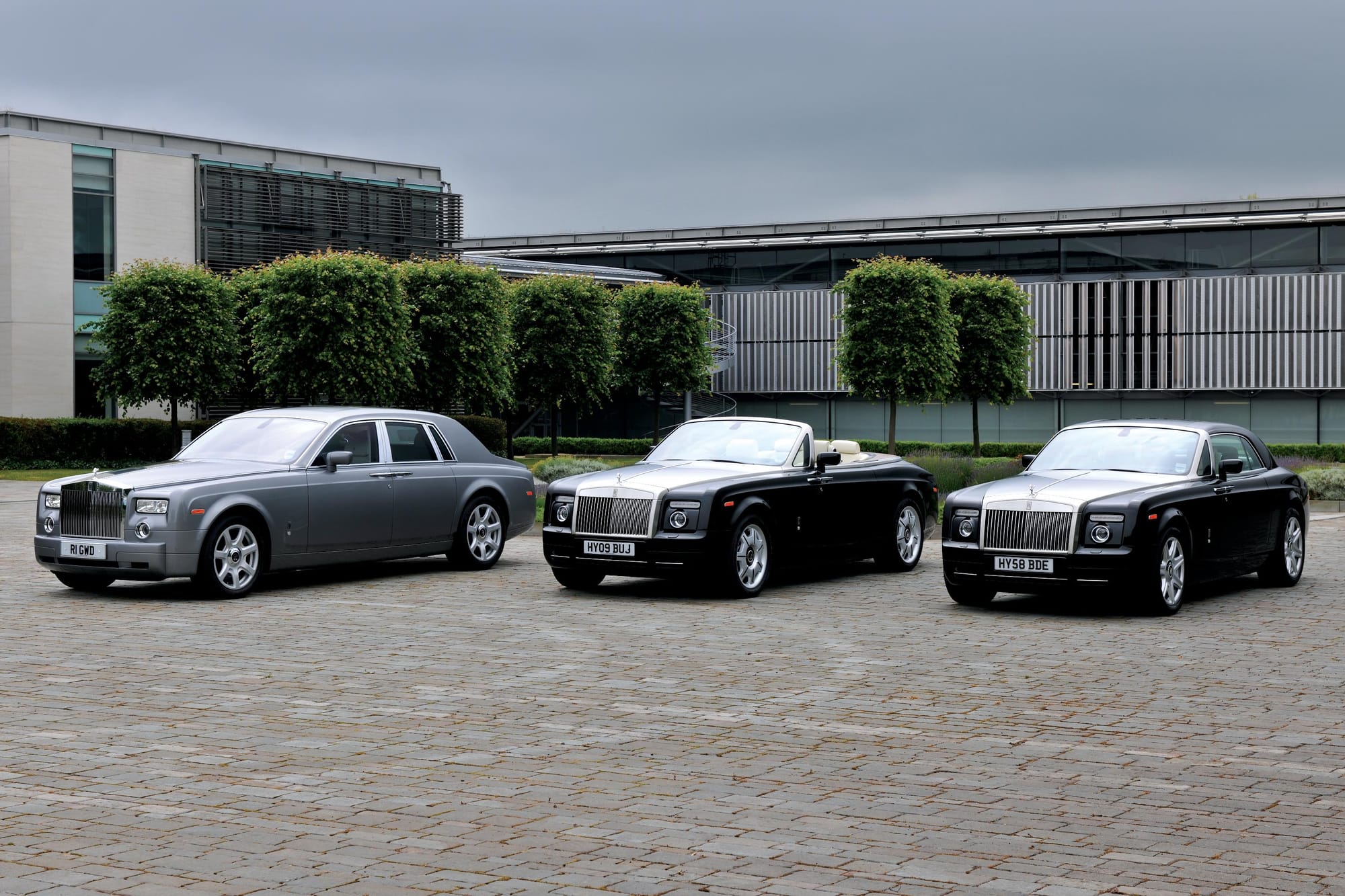 Rare pedigree