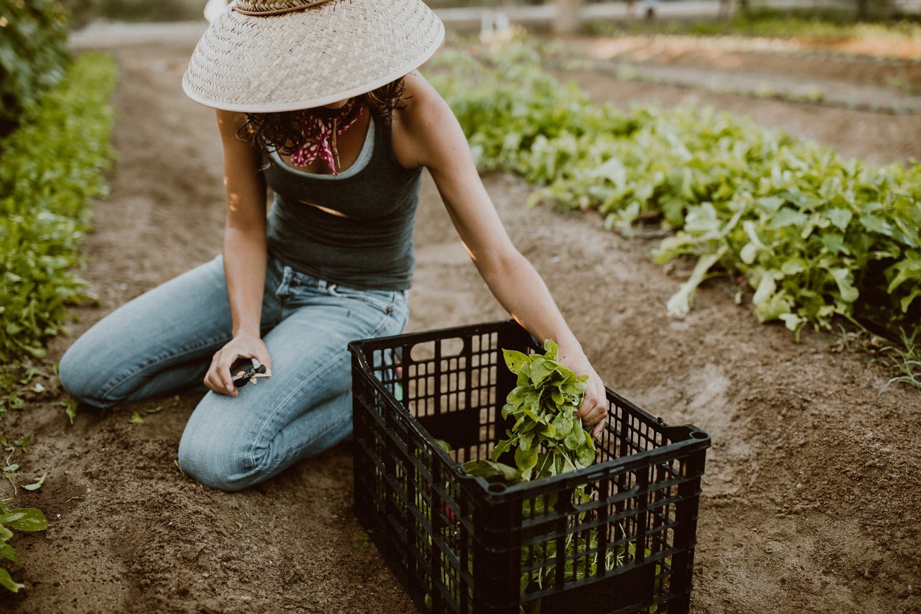 A Clean Conscience: The People And Brands Putting Their Money Where Their Morals Are