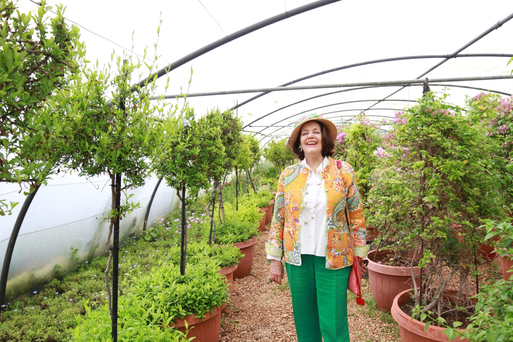 Past Master: Alice Eddé, the American Keeping the Ancient City of Byblos Alive