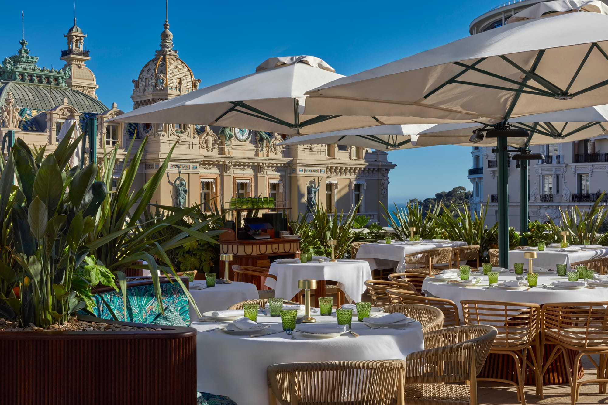 Why We Love Amazónico Monte-Carlo, the Clubstaurant Lighting Up Casino Square