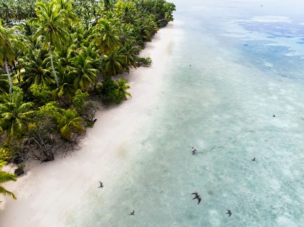 Paradise Found: How the Seychelles Finally Became a World-Class Escape