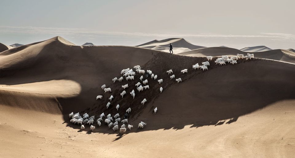 You Won’t Believe The Rugged Terrain Behind Loro Piana’s Insanely Soft Cashmere