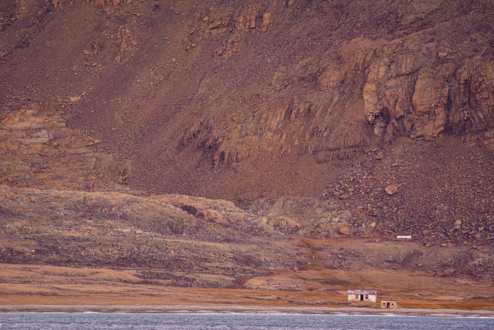 Breaking the Ice: A Close Encounter with a Curious Arctic Polar Bear