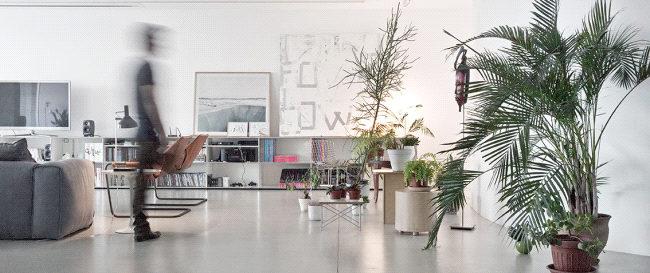 Outside In: Architect Paul Kaloustian's Fresh Take on the Region's Vernacular Architecture
