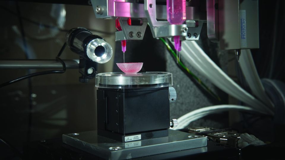 A Surgeon Of Lebanese Descent, Dr. Anthony Atala, is Pioneering a Way to 3D-Print Human Organs