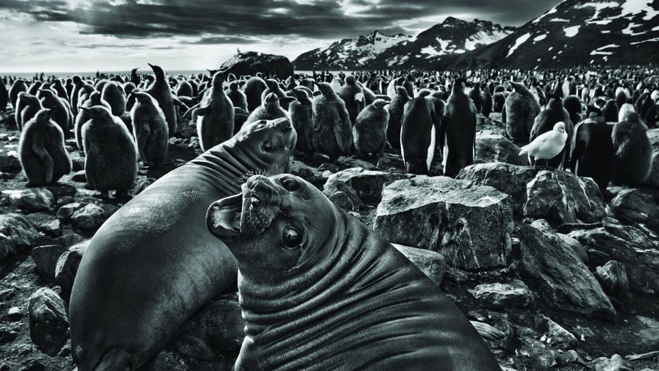 One of the World’s Most Celebrated Photojournalists Takes Us on an Extraordinary Journey Across Our Planet to Show that We All Co-Exist