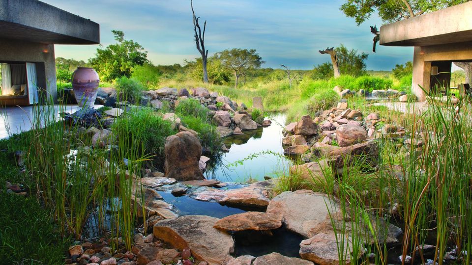 Sabi Sabi Earth Lodge in South Africa is Where You’ll Experience the Safari You Always Dreamt Of