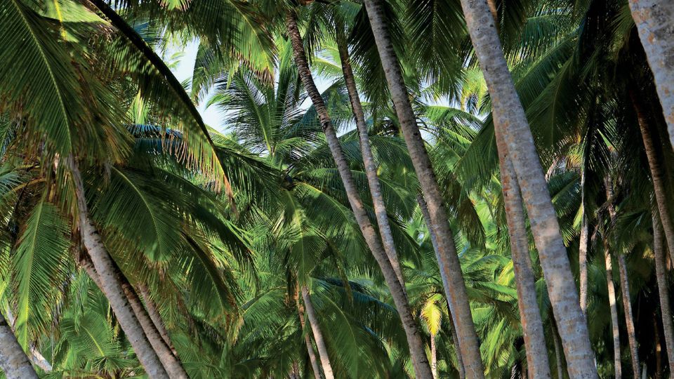 Aman’s Two Sri Lankan Properties: The Beachfront Retreat of Amanwella and The Old-World Elegance of Amangalla