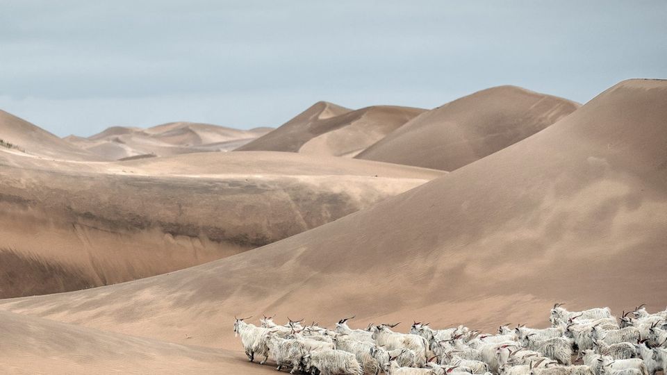 You Won’t Believe The Rugged Terrain Behind Loro Piana’s Insanely Soft Cashmere