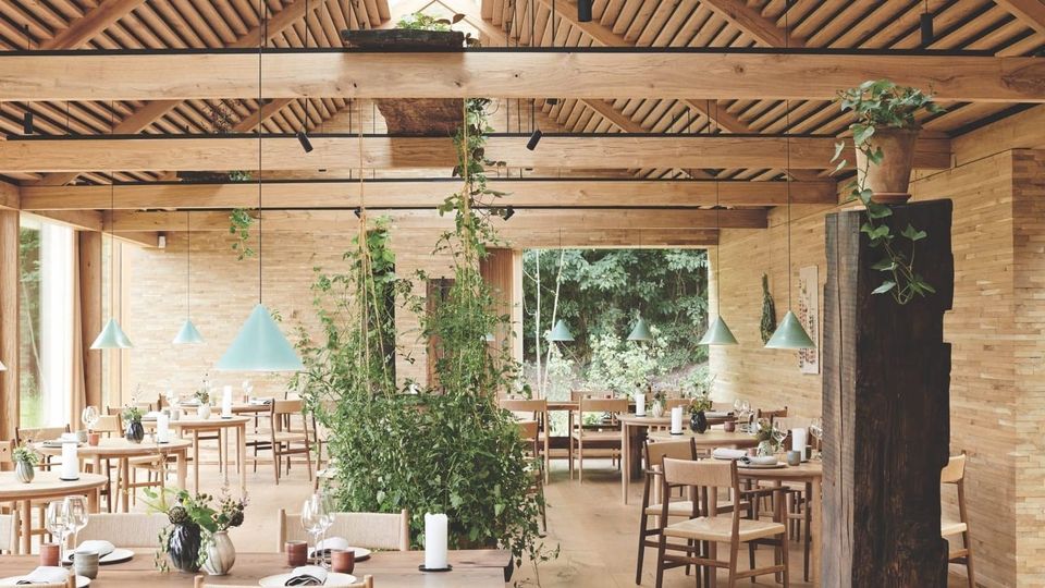 Culinary Magic: How René Redzepi's Noma Redrew the Map of Fine Dining