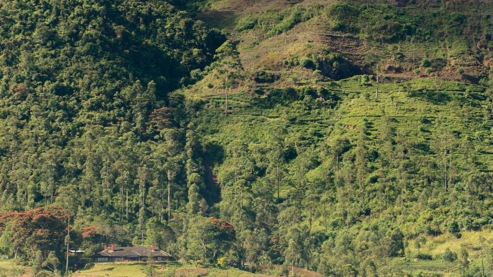 The Heat Is On: A Sweltering Rail Journey Down Sri Lanka's Coast
