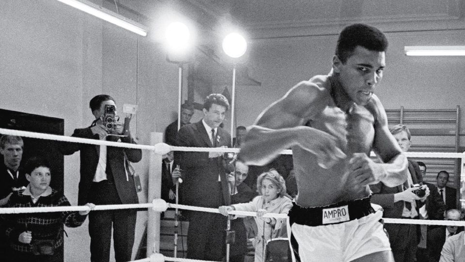 All Hail The Champ: DUMBO, The Beating Heart Of Brooklyn Tech