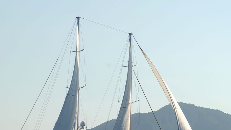 Sail away