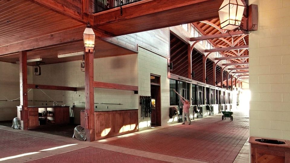 Galloping Home: Inside the Mississippi Farm Where Horses Live in Luxury