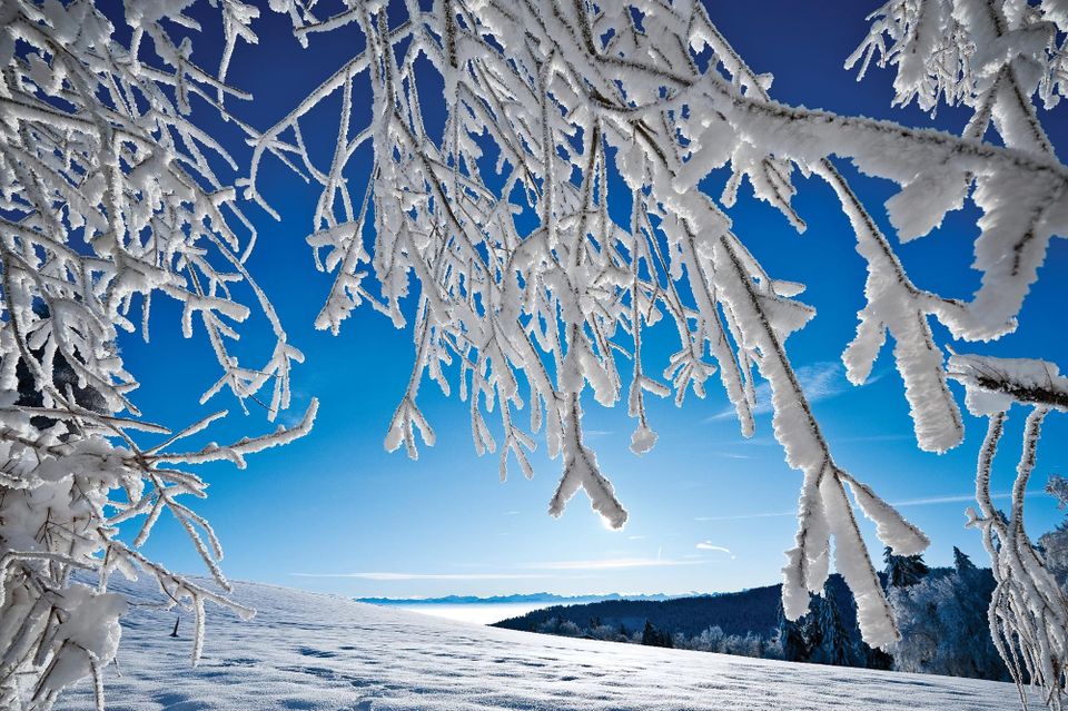 Chilly Breaks: The Magical Allure of a Snow-Capped Mountain Escape
