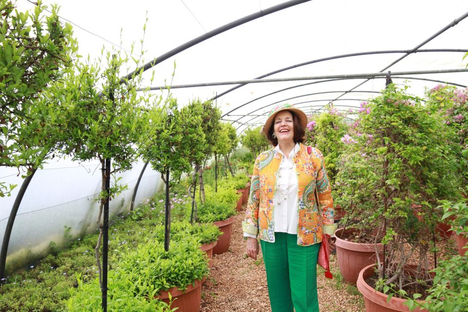 Past Master: Alice Eddé, the American Keeping the Ancient City of Byblos Alive