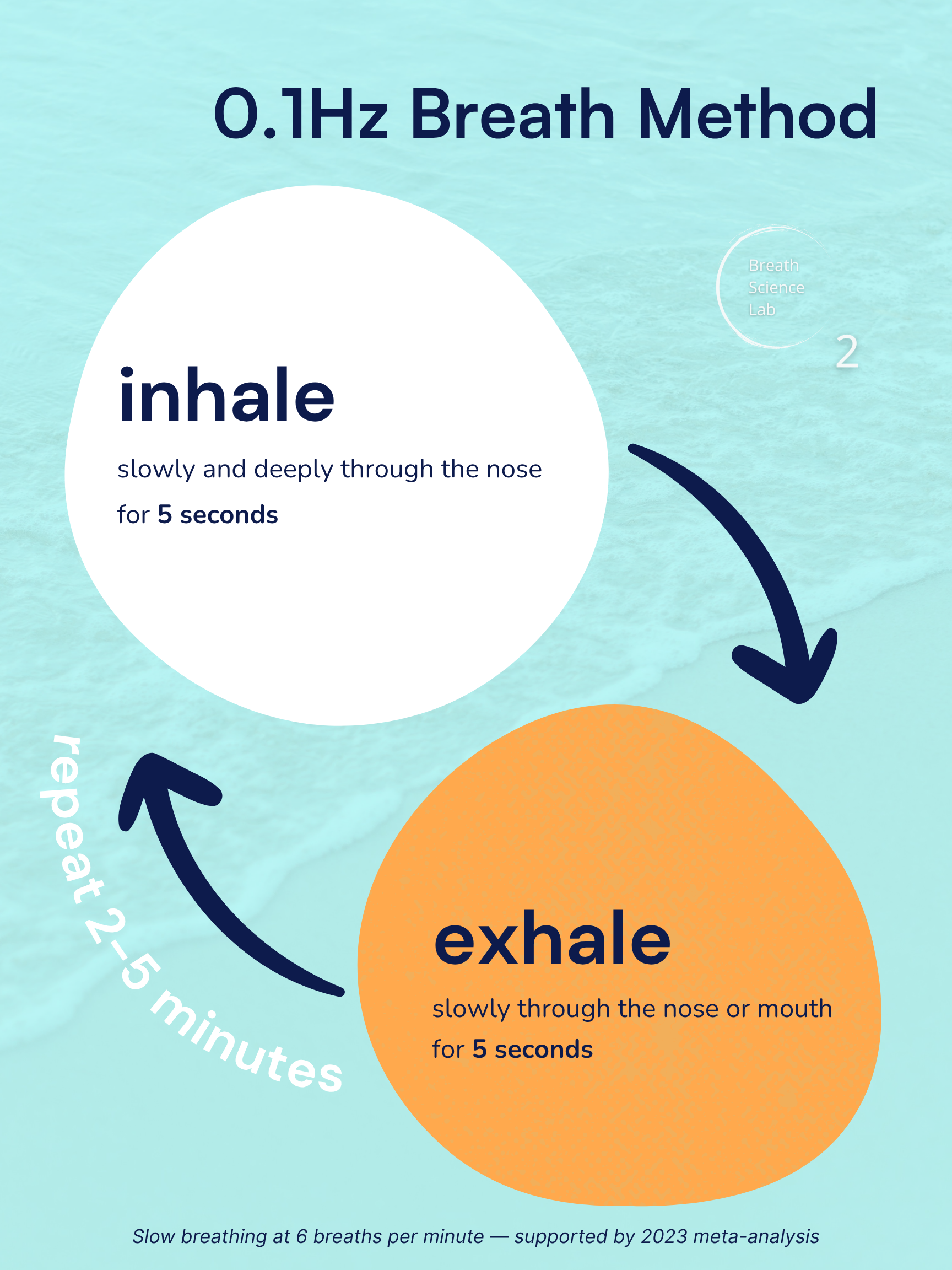 0.1 Hz breathwork diagram showing 5-second inhale and 5-second exhale cycle for nervous system recovery