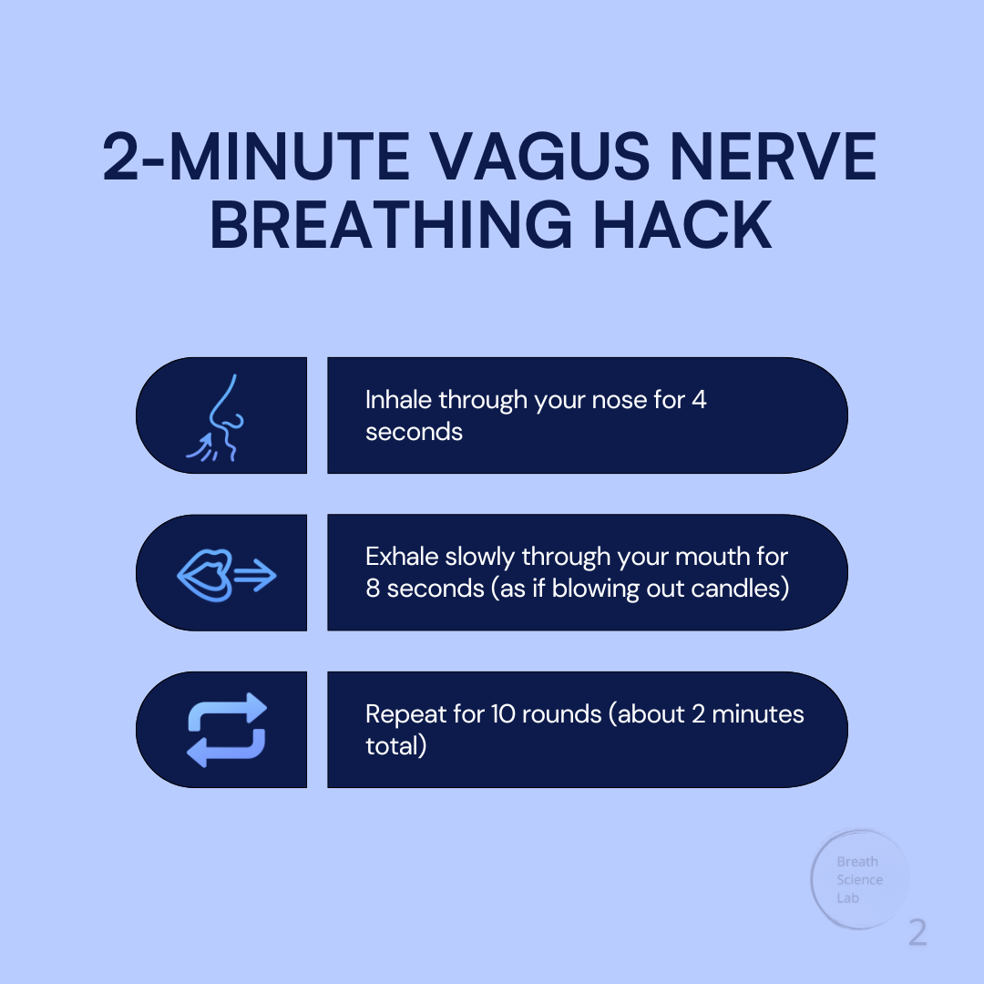 2‑Minute Vagus Nerve Breathing Hack infographic