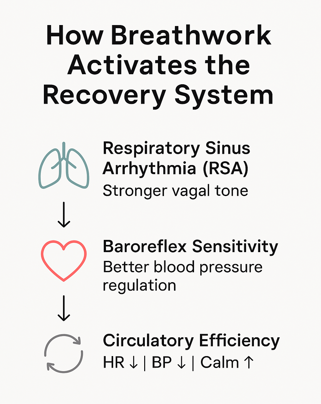 Infographic showing RSA, baroreflex, and circulatory efficiency as key recovery mechanisms.