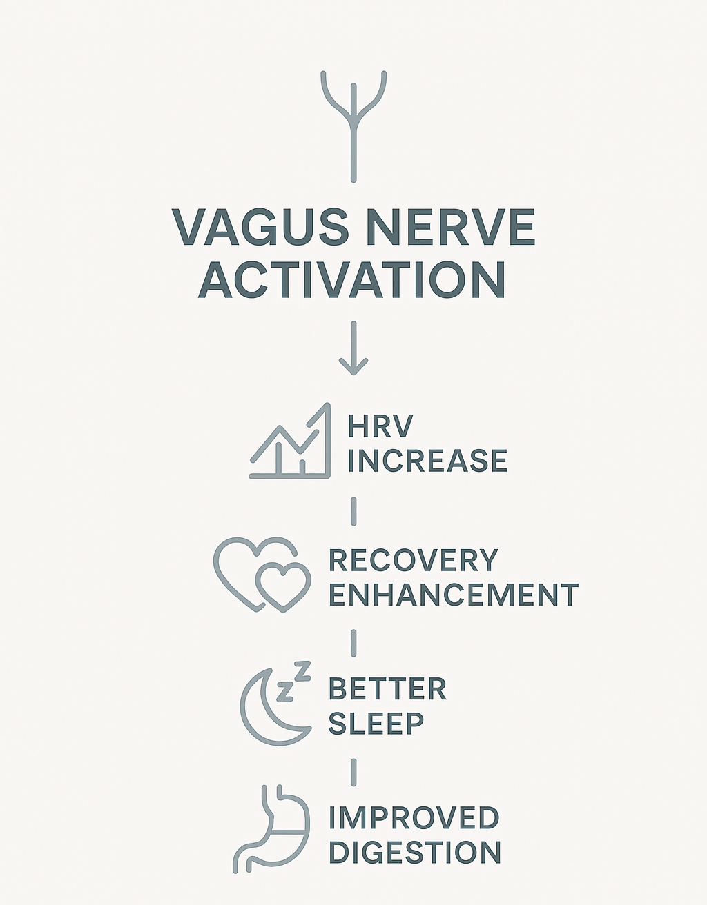 Infographic showing benefits of parasympathetic activation like reduced inflammation and improved recovery