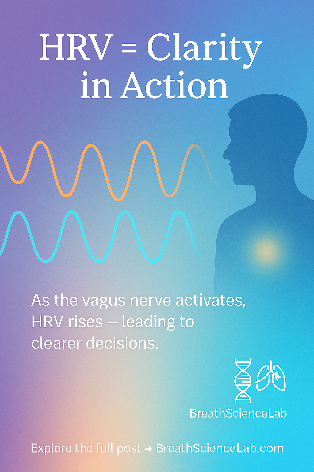 Gradient visual with heartbeat waves and silhouette of person glowing at chest, explaining how HRV rises with vagus nerve activation