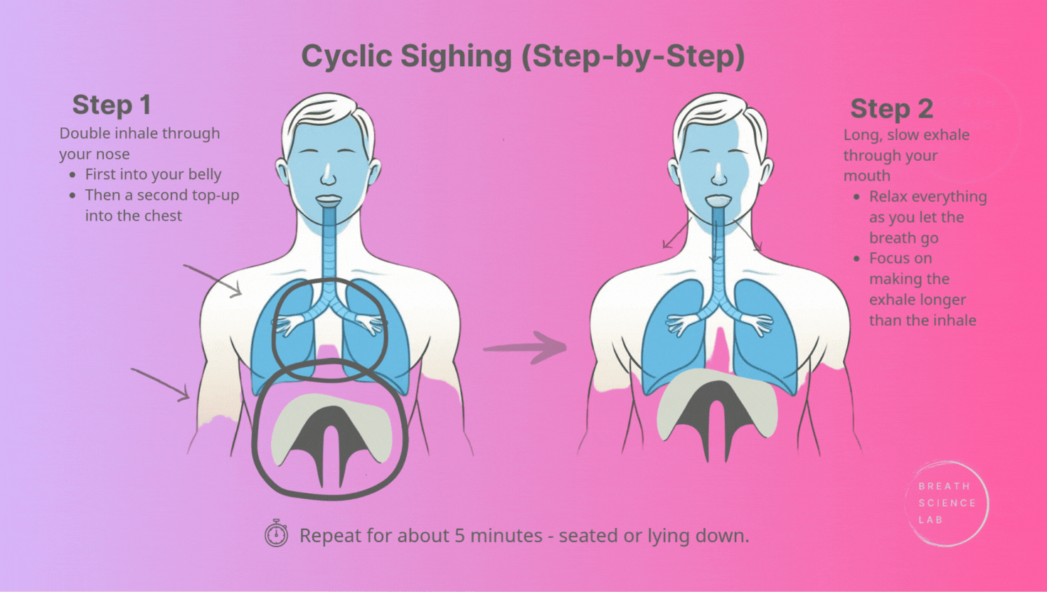 Infographic: cyclic sighing step by step. Double inhale (belly then top-up), long slow exhale. Repeat about 5 minutes. Two torso diagrams with arrows.