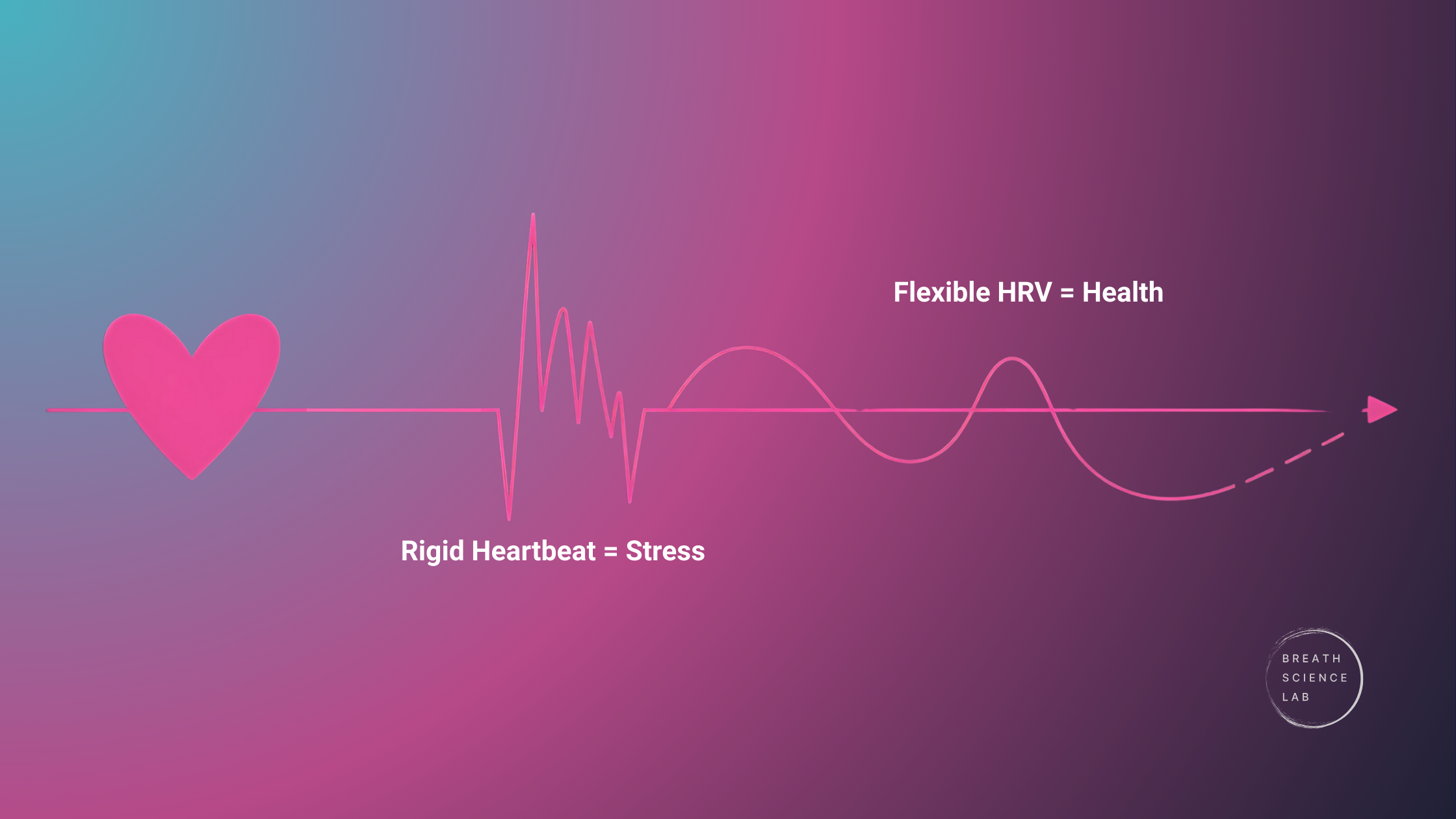 nfographic comparing a rigid metronome-like heartbeat with a flexible heartbeat line, showing why higher HRV signals flexibility and recovery.