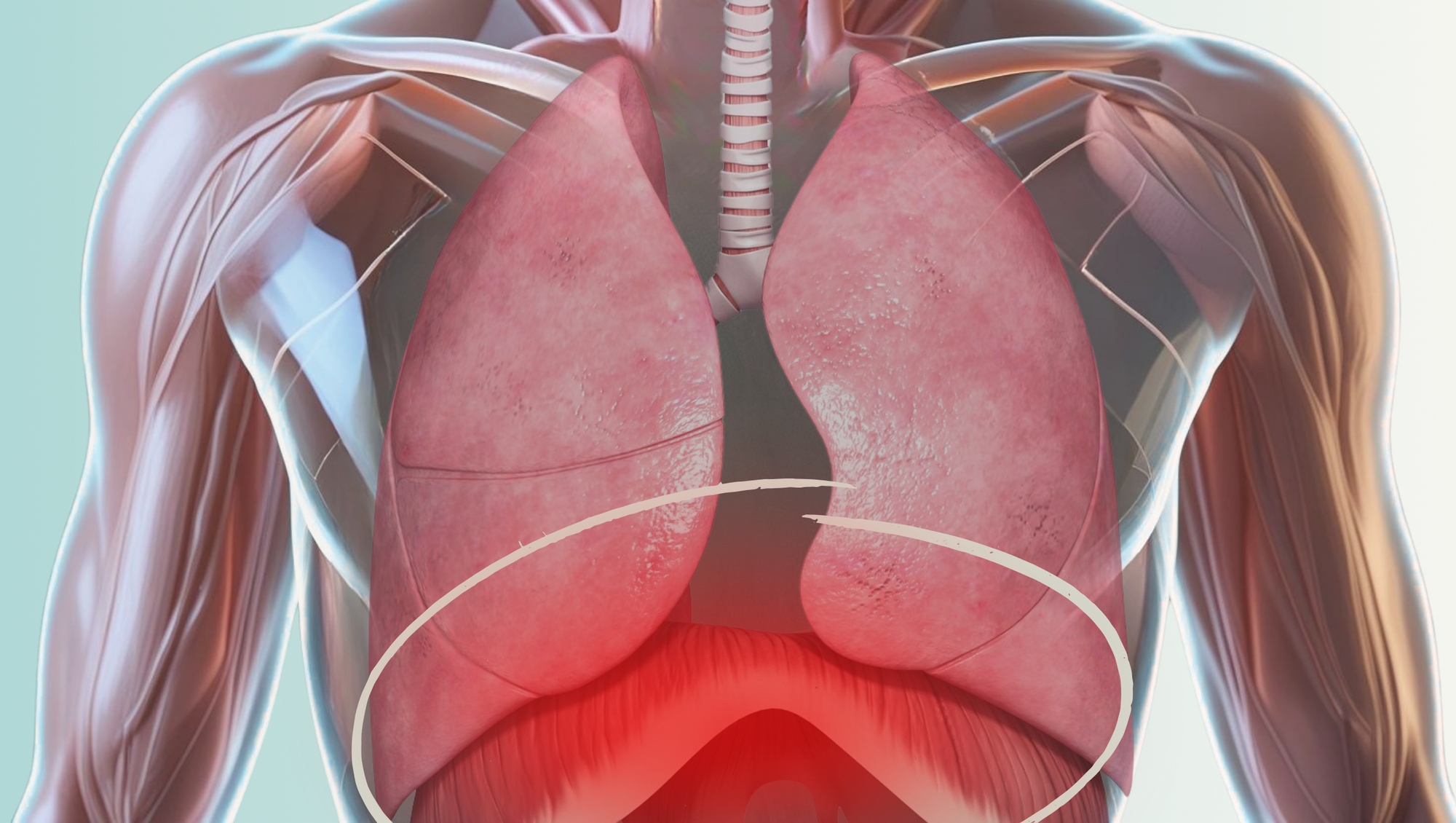 Simple illustration showing how anxiety can cause chest tightness by restricting diaphragm movement.