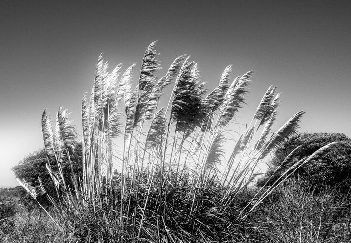 Why I Avoid Politics Now