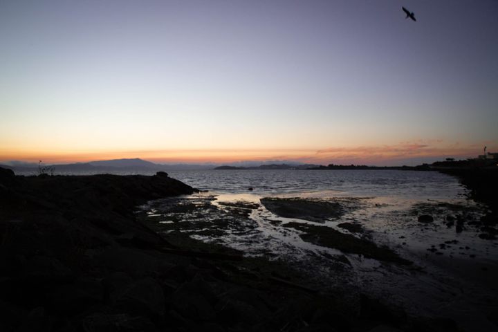 Why I Have Always Avoided Religion