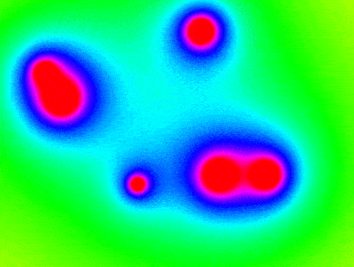 Survival Strategies of Mold Colonies