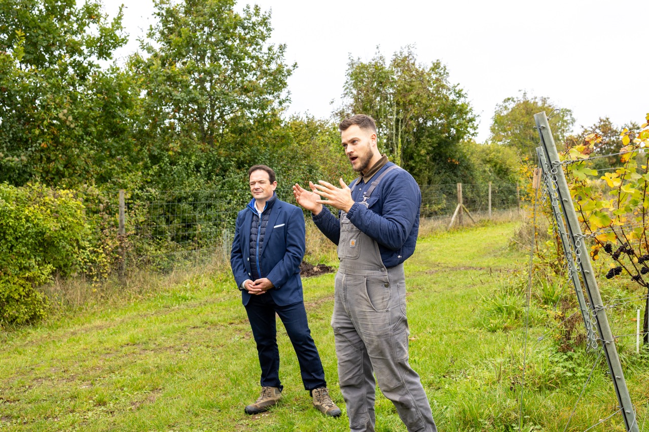Will Perkins of the Pinglestone Wine Estate