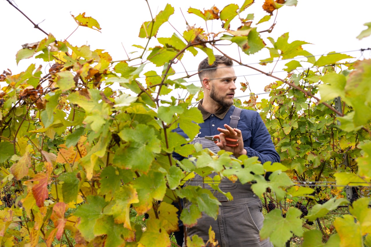 Will Perkins of the Pinglestone Wine Estate