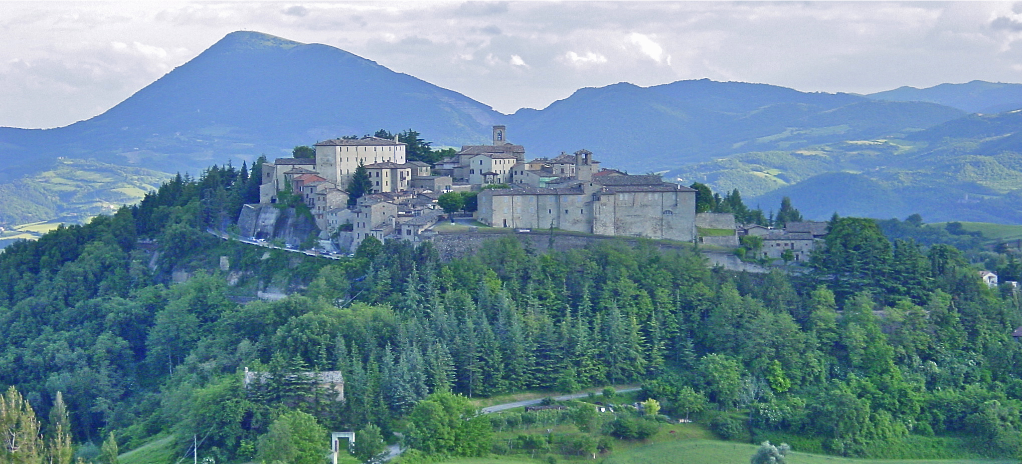 Montone