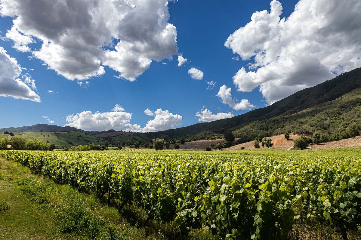 Chile