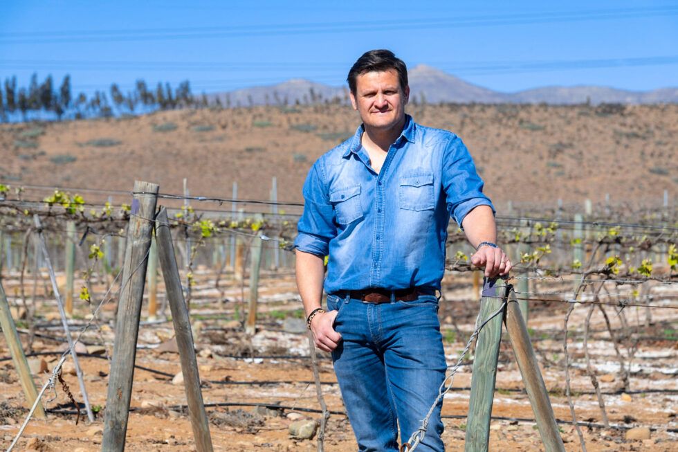 Tara Wines from Chile