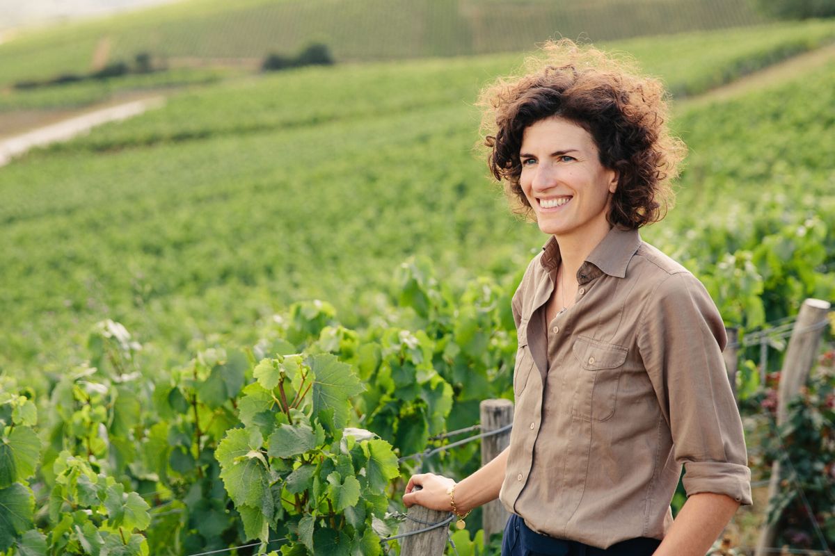 Bruno Paillard Blanc de Blancs 2014 