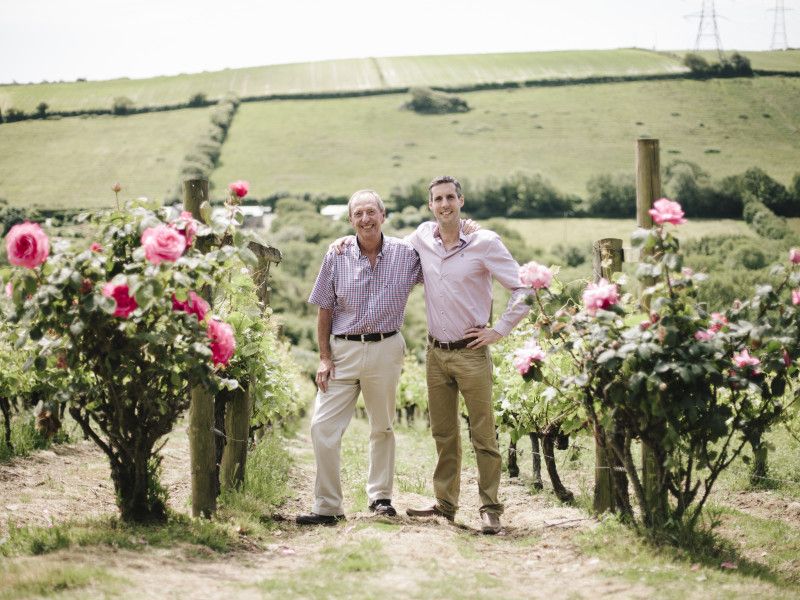 Camel Valley Vineyard: Pioneers of English Sparkling Wine in Cornwall