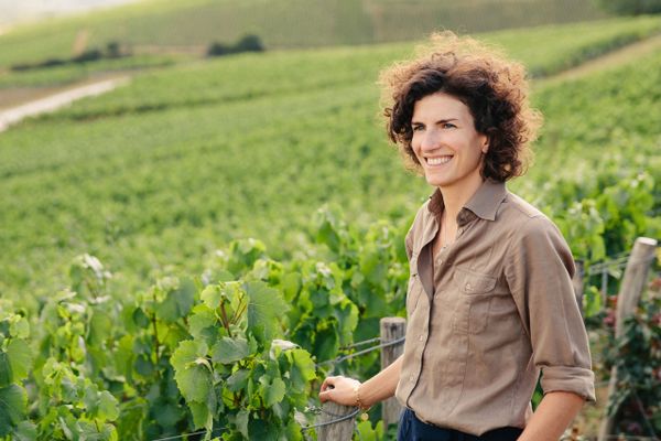 Bruno Paillard Blanc de Blancs 2014 
