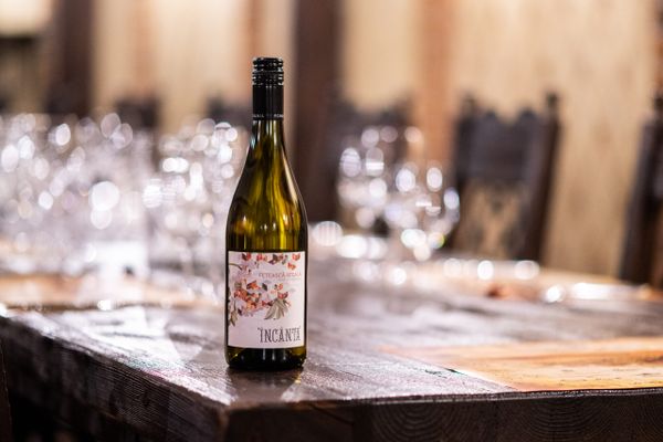 Valentines Day Wines