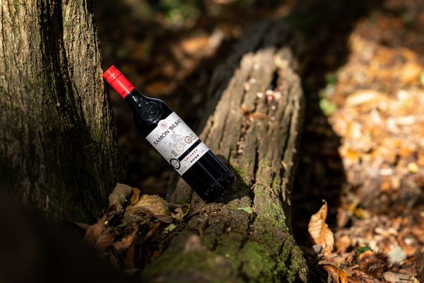 A Century of Curiosity: Ramón Bilbao Tasting at Sam’s Riverside