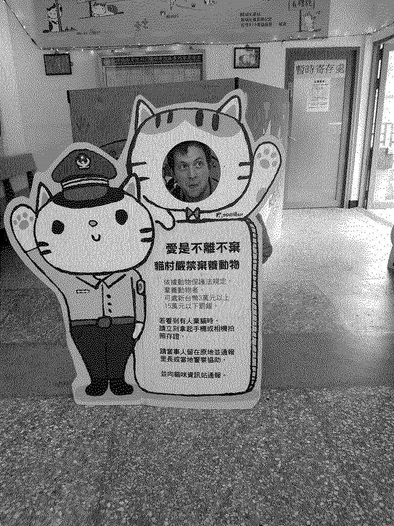 Cat village